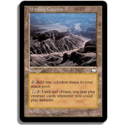 Terrain - Canyons serpentants (R)