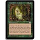 Verte - Feal des arbres creux (R)