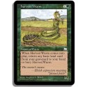 Verte - Guivre des moissons (C)