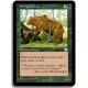 Verte - Ours tigres (C)