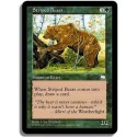 Verte - Ours tigres (C)