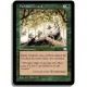 Verte - Terrain familier (U)