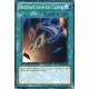Destruction De Carte (C) [SDDL]
