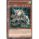 Chouette Chasseresse (C) [SDDL]