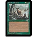 Verte - Prime de chasse (U)