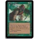 Verte - Ranger elfe (C)