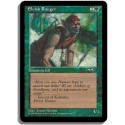 Verte - Ranger elfe (C)