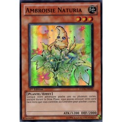 Ambroisie Naturia (SR) [HA04]