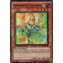 Ambroisie Naturia (SR) [HA04]