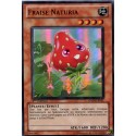Fraise Naturia (SR) [HA04]