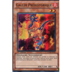 Gallim Préhistorique (SR) [HA04]