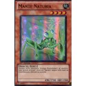 Mante Naturia (SR) [HA04]
