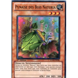 Punaise des Bois Naturia (SR) [HA04]