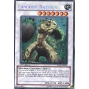 Landoise Naturia (STR) [HA04]