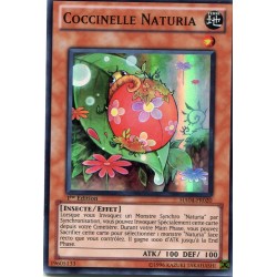 Coccinelle Naturia (SR) [HA04]