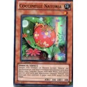 Coccinelle Naturia (SR) [HA04]