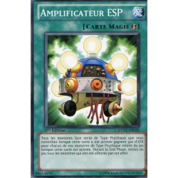 Amplificateur Esp (C) [EXVC]