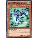 Armée Meklord De Skiel (C) [EXVC]