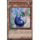 Aubergine Naturia (SR) [EXVC]