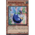 Aubergine Naturia (SR) [EXVC]