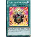 Destruction Retentissante (C) [EXVC]