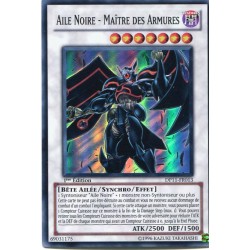 Aile Noire - Maître des Armures (SR) [DP11]