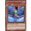 Aile Noire - Mistral le Tourbillon (R) [DP11]