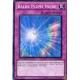 Balise Plume Noire (SR) [DP11]