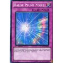 Balise Plume Noire (SR) [DP11]