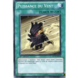 Puissance du Vent (C) [DP11]