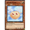Coton-plume (C) [SDLS]