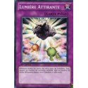 Lumière Attirante (C) [SDLS]
