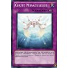 Chute Miraculeuse (C) [SDLS]