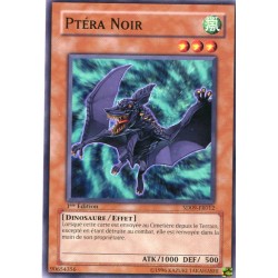 Ptéra Noir (C) [SD09]
