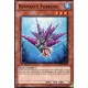 Bernacle Foreuse (C) [GENF]
