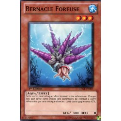 Bernacle Foreuse (C) [GENF]