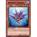 Bernacle Foreuse (C) [GENF]