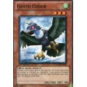 Gusto Codor (C) [GENF]