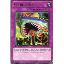 Oh Requin ! (R) [GENF]