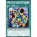 Poissons Carnivores (C) [GENF]