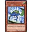 Raie du Ciel (R) [GENF]