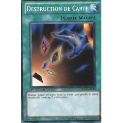 Destruction de Carte (C) [SDGU]