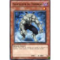 Faufilleur du Tombeau (C) [SDGU]