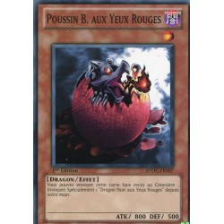 Poussin B. aux Yeux Rouges (C) [SDDC]