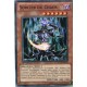 Sorcier du Chaos (C) [SDDC]
