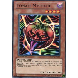 Tomate Mystique (C) [SDDC]