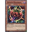Tomate Mystique (C) [SDDC]