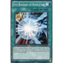 Flot Rugissant de Destruction (C) [SDDC]