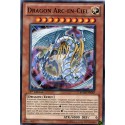 Dragon Arc-en-Ciel (C) [RYMP]