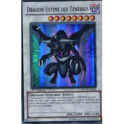 Dragon Ultime des Ténèbres (SR) [RYMP]